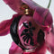 Paco Rabanne Olympéa Flora - Eau de Parfum - Bloemig met fruitige frisheid (50 ml)