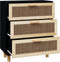 vidaXL - Dressoir - 60x30x70 - cm - massief - grenen - hout - en - rattan - zwart