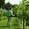 Sproeier Di Martino Rosy 13 L
