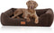 Knuffelwuff Wollekopp - Orthopedisch hondenbed - Ergonomische ondersteuning XXL 120 x 85cm Bruin