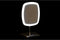 Vergrotende Spiegel met Led DKD Home Decor 17 x 13 x 30,5 cm Zilverkleurig Metaal