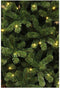 Black Box Trees Charlton - Kunstkerstboom met LED Verlichting - H185 x Ø115 cm - Groen