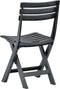vidaXL - Tuinstoelen - inklapbaar - 2 - st - kunststof - antraciet
