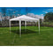 vidaXL - Tuinprieel - met - piramidedak - 3x3 - m