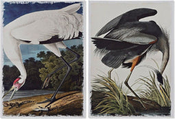 Schilderij DKD Home Decor Heron Fågel Orientaals (50 x 1,8 x 70 cm) (2 Stuks)