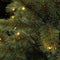 Triumph Treekerstboom Led Forest Frosted H120 D99 D.Groen 96L Tips 396