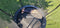 AMIGO Trampoline Basic - Met Veiligheidsnet, Ladder en Veilige Rand - Rond 244 cm - Blauw