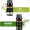 Premium Aromatherapie Essentiële Oliën Set - Natuurlijke Geuren voor Ontspanning en Welzijn