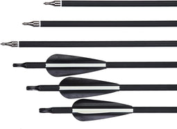 Premium Carbon Boogschietpijlen - Set van 12 | Precisie & Duurzaamheid
