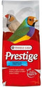 Prestige Tropische Vogel
