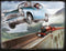 Prime 3d 3d-puzzel Harry Potter/ford Anglia Karton 500 Stuks