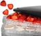 Princess 112380 Voedseldroger – 6 Lagen – Regelbare temperatuur - 40C tot 70C - Dehydrator - Droogoven - Fruitdroger - 350W