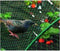 Pro Garden Boomnet 400 X 500 Cm Polypropyleen Groen