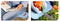 Pro Garden Kniemat Assorti