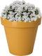 Pro Garden Plantenpot/bloempot Botanic - Tuin buiten - kunststof - okergeel - Dia 25 cm - rond