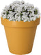 Pro Garden Plantenpot/bloempot Botanic - Tuin buiten - kunststof - okergeel - Dia 40 cm - rond