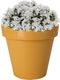 Pro Garden Plantenpot/bloempot Botanic - Tuin buiten - kunststof - okergeel - Dia 20 cm - rond
