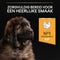 Pro Plan Healthy Start Puppy Large Robust - Hondenvoer Droogvoer - Kip - 12 kg