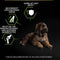 Pro Plan Healthy Start Puppy Large Robust - Hondenvoer Droogvoer - Kip - 12 kg