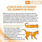Pro Plan Veterinary Diets Feline Om Obesity Management - Kattenvoer - 5 kg