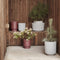 Hübsch Among Pots