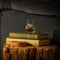 Proefglas Gegraveerd met Schotse Hooglander - Just Slate Company Scotland