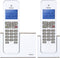 Profoon PDX-8420 WT/TE DECT Draadloze telefoons - 2 Handposten GAP compatible - Wit/Taupe