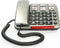 Profoon TX-560 Big Button Telefoon - Bel direct je meest dierbare en met Geluidsversterking (24dB)
