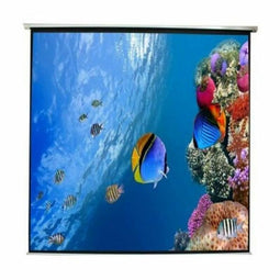 Projectiescherm APPROX APPP240E (240 x 240 cm)