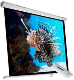 Projectiescherm Phoenix ELEC240 135"
