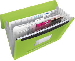 Projectmap Esselte Vivida A4 6 vakken PP groen