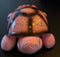 Projectorlamp Sterrenhemel Turtle Nachtlampje voor Kinderen Roze of Blauw