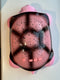 Projectorlamp Sterrenhemel Turtle Nachtlampje voor Kinderen Roze of Blauw