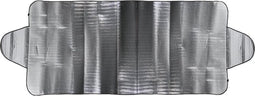 ProPlus Auto zonnescherm en anti-vorst deken - XL - 100 x 255 cm - Multifunctioneel