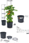 Prosperplast Tomatenpot - Voor het kweken van tomaten - 28 liter - Antraciet