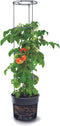 Prosperplast Tomatenpot - Voor het kweken van tomaten - 28 liter - Antraciet