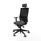 Piqueras y Crespo 1D066G2 - Bureaustoel - Hoofdsteun - Donker grijs