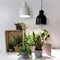 Venso EcoSolutions E27 SAGA lampenkap wit, verbeterde fotosynthese en hogere chlorofylvorming, LED groeilamp, groeilicht voor kamerplanten, groenten, bloemen