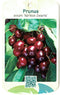 Prunus Avium Varikse Zwarte