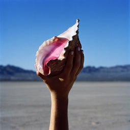 The Killers - Wonderful Wonderful - CD - Licht beschadigde hoes