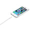 Apple MD819ZM/A - Lightning naar USB Kabel - 2m Wit
