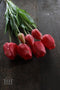 PSO Classic Tulip Bundle Sally x7 beauty 47 cm kunstbloemenNova Nature-ledkaarsen en meer