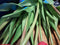 PSO Classic Tulip Bundle Sally x7 beauty 47 cm kunstbloemenNova Nature-ledkaarsen en meer