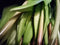 PSO Classic Tulip Bundle Sally x7 beauty 47 cm kunstbloemenNova Nature-ledkaarsen en meer