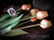 PSO Classic Tulip Bundle Tulp Duchesse x7 peach 47 cm kunstbloemen