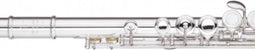Trevor James Dwarsfluit 3015 E-W