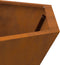 vidaXL - Vuurplaats - Hexagonaal - 75x75x28 - cm - Weerbestendig - Staal