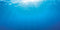 Juwel Aquarium Decoratie - Poster - S - 60 x 30 cm