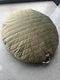 Nobodinoz Sahara zitzak Ø90x16cm - Olive Green