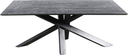 PTMD Alore black black diningtable rectangle 200 cm